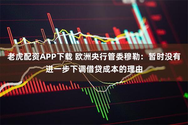 老虎配资APP下载 欧洲央行管委穆勒：暂时没有进一步下调借贷成本的理由