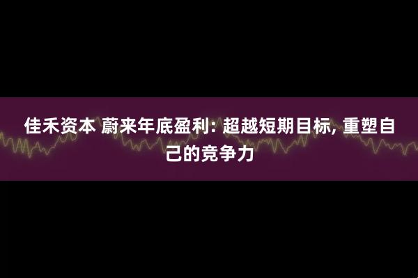 佳禾资本 蔚来年底盈利: 超越短期目标, 重塑自己的竞争力