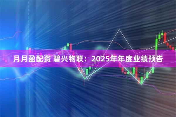 月月盈配资 碧兴物联：2025年年度业绩预告